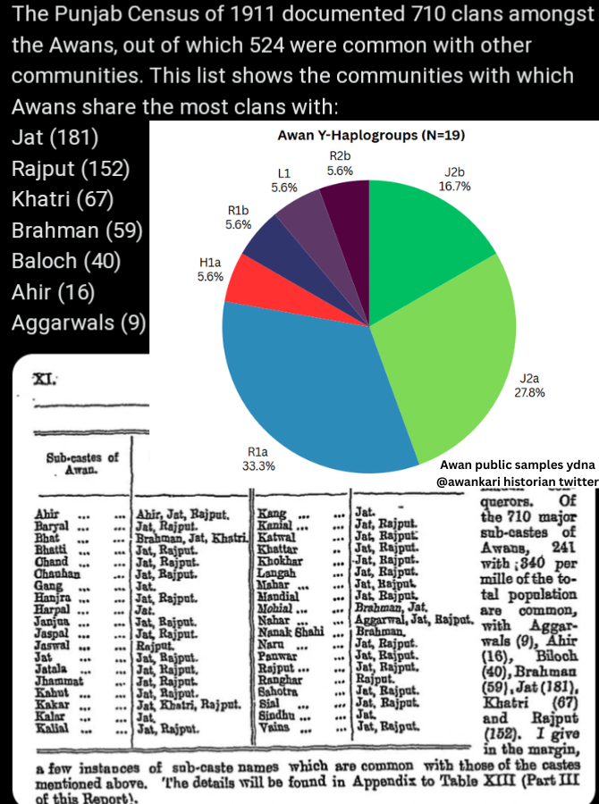 Although in majha, fsd its beleived that awan are teli(narendar modi caste). No No No! Even if awan show higher gangu dna due to being from madhya pardesh but that was long time ago,  now pretty much they have abaorbed local clans and r no longer teli but genetically punjabis