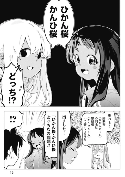 沖縄の桜は1月に咲くという話(2/4) 