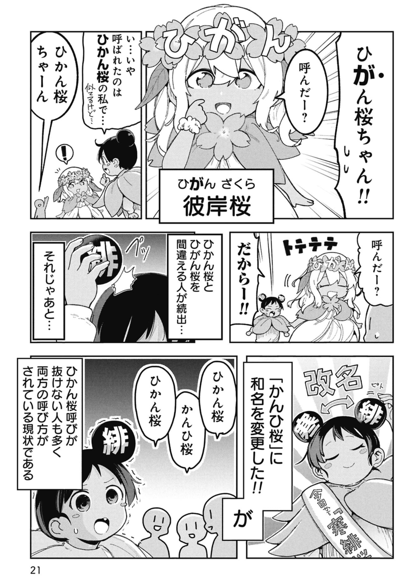 沖縄の桜は1月に咲くという話(2/4) 