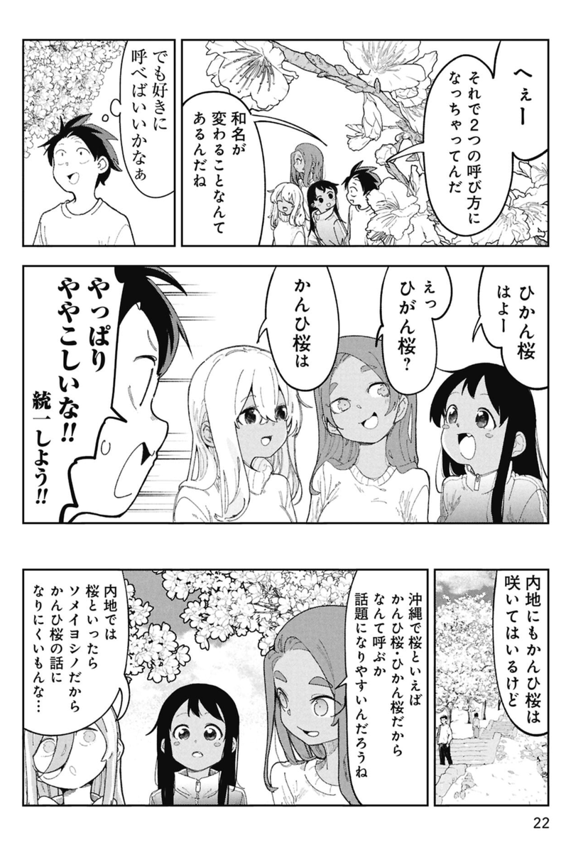 沖縄の桜は1月に咲くという話(2/4) 