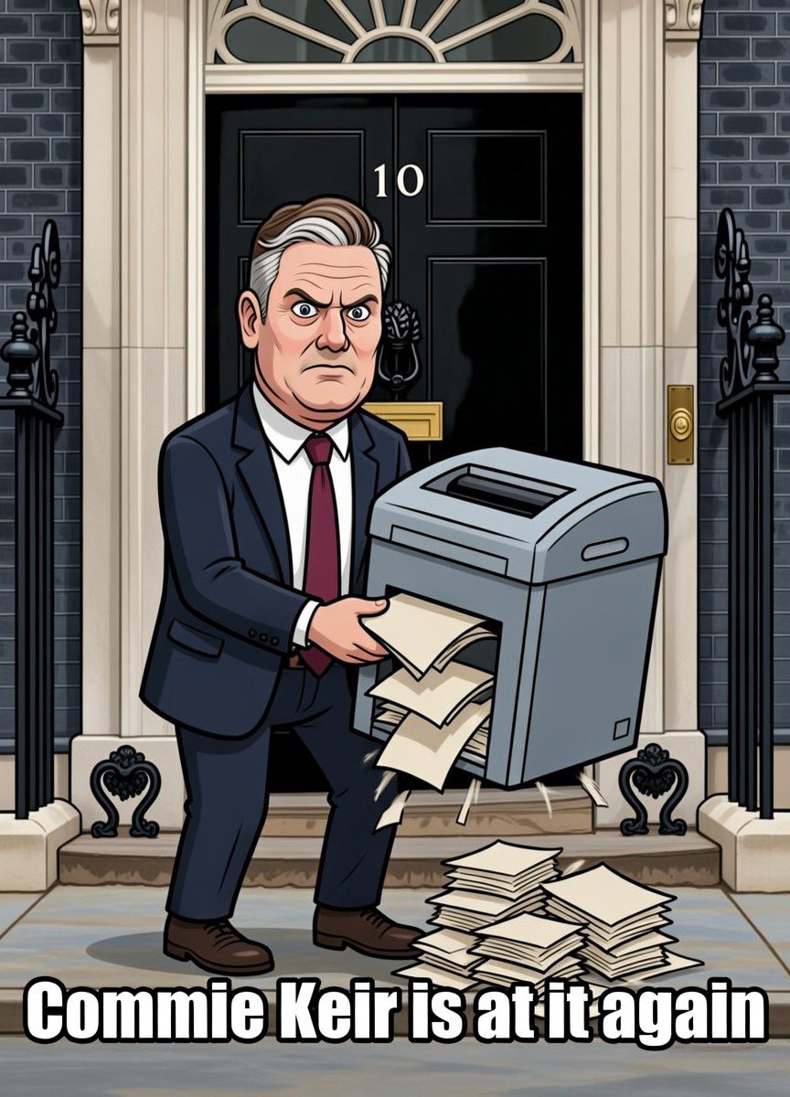 IRISH PATRIOT tweet media