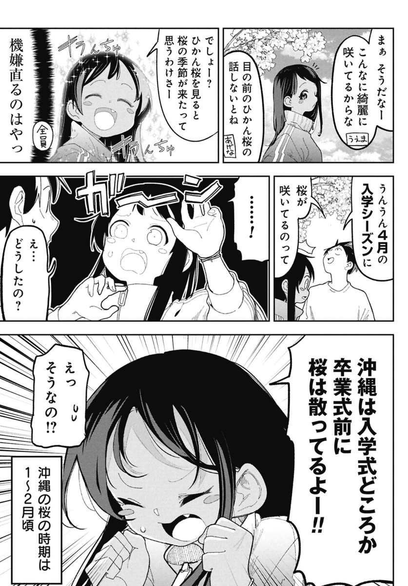 沖縄の桜は1月に咲くという話(3/4) 