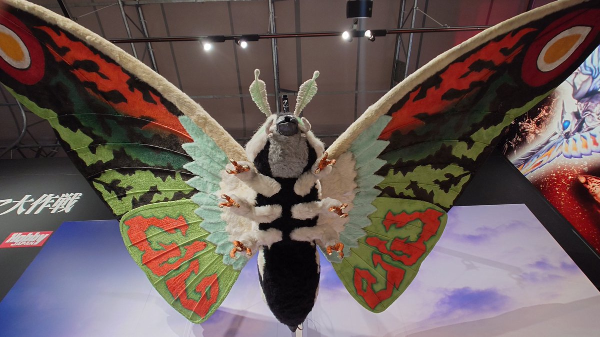 カッコいいローアングルはろうぜ #モスラレオ🦋真下から見てもかわいい