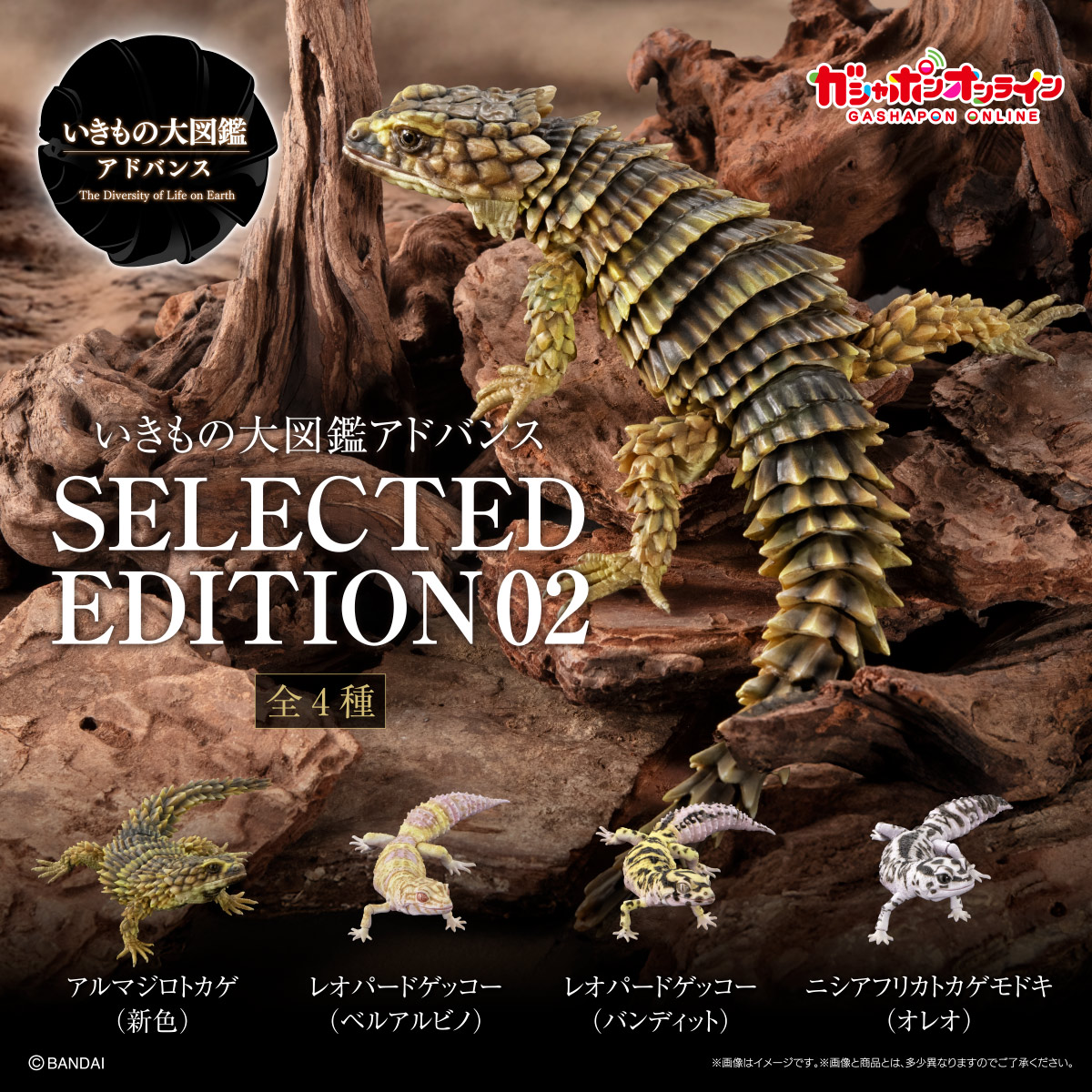いきもの大図鑑アドバンス SELECTED EDITION 02 （税込2,000円