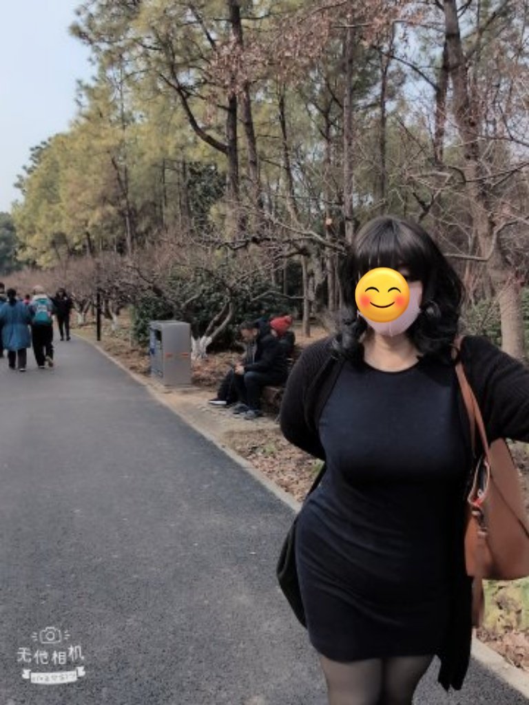 一路兩邊都充滿處處可見盛開的梅花，很值得一來