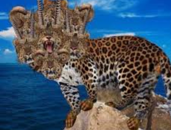 Dusty Bumps (@dusty_bumps) on Twitter photo 