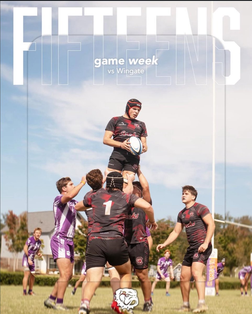Gamecock Rugby tweet media