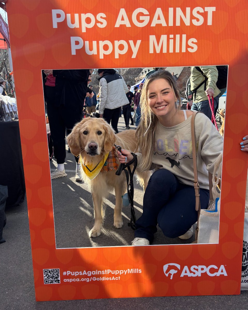 Aspca Events The ASPCA recently attended Goldens in Golden, an annual event ...