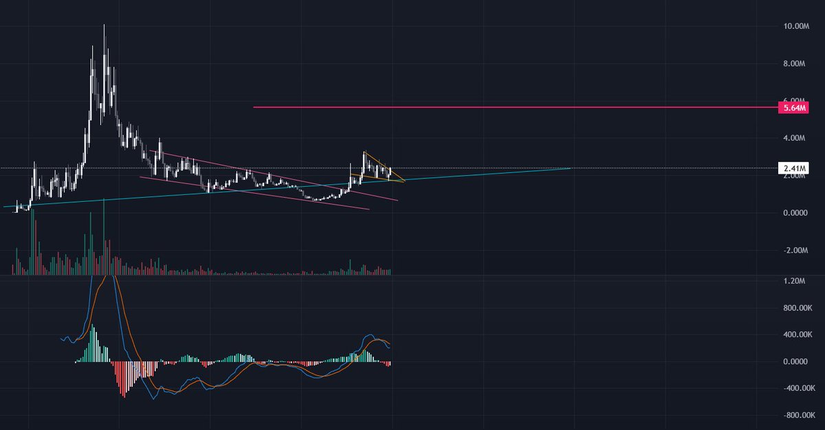 $goyim (1H)