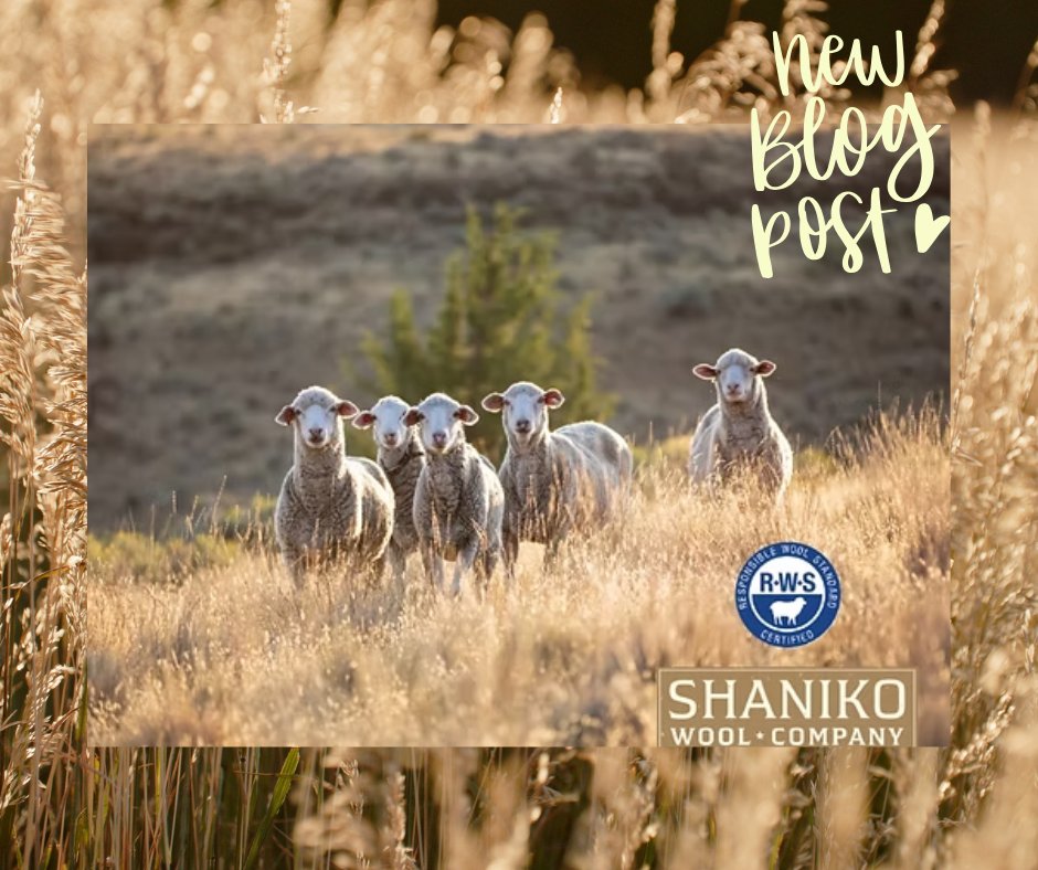 Holistic Mgmt. Int'l tweet media