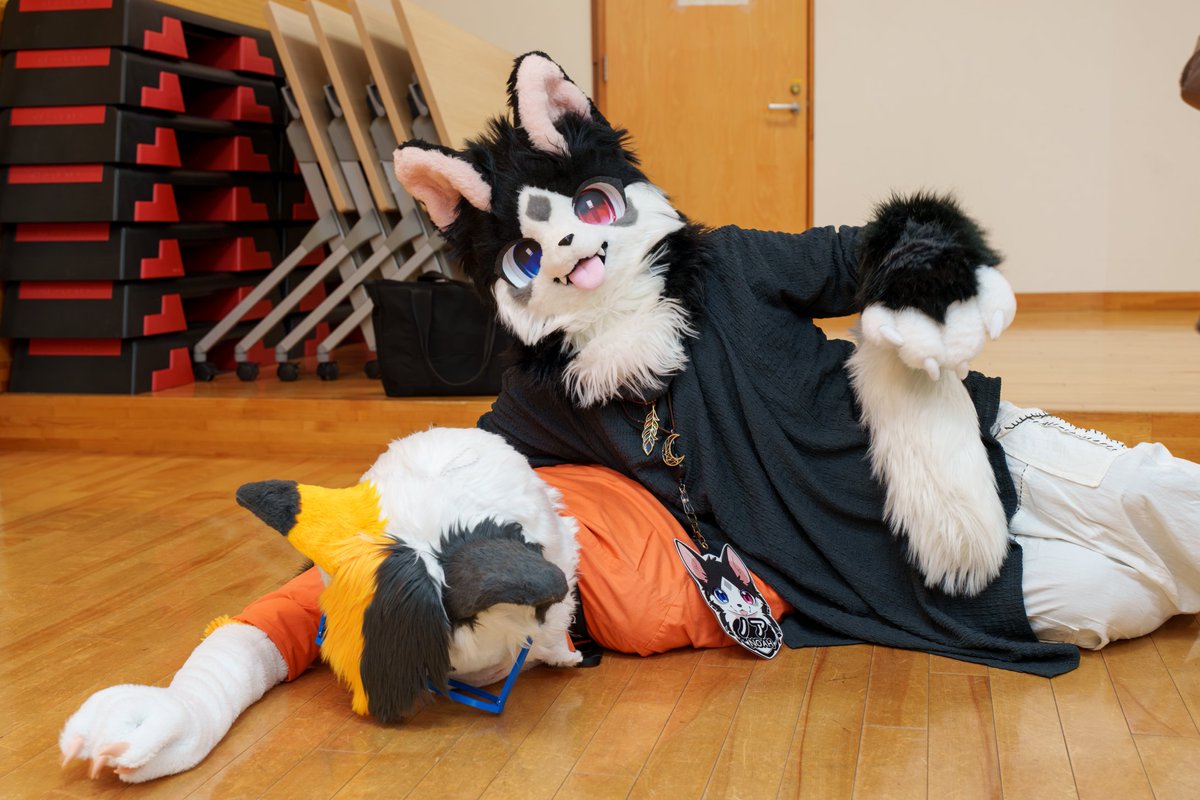 おはよ～❗今日も一日元気に行こう❣️🐶🐱
📸 <a href="/PAST_2015/">PAST</a>さん
#ケモノフォーカス