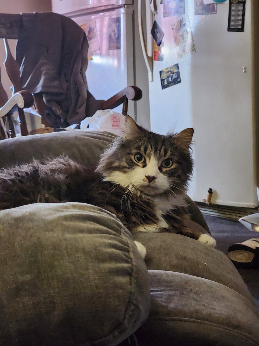 #OOC I think he is plotting murder...