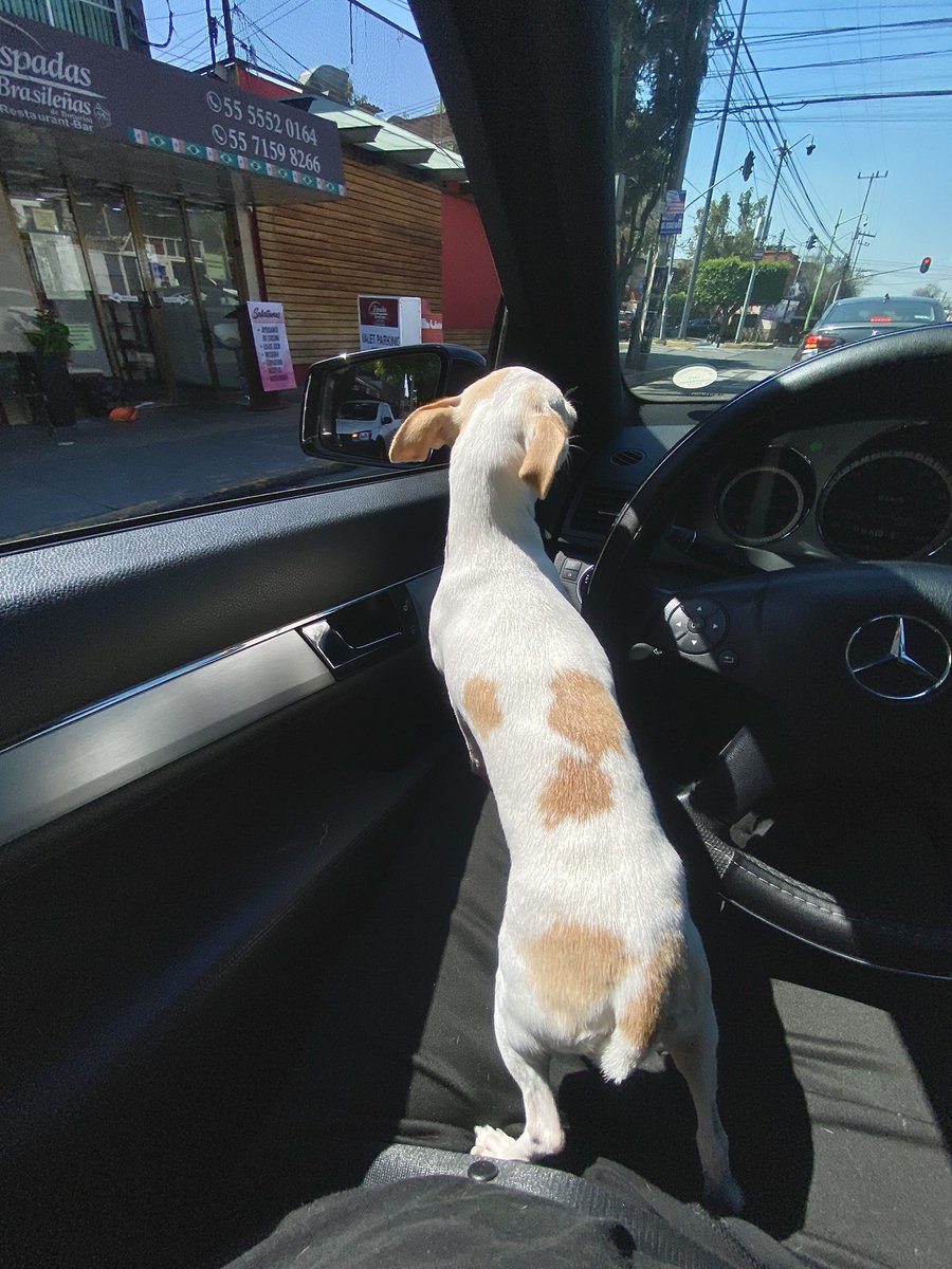 Nana siempre me acompaña en mis tiempos libres.