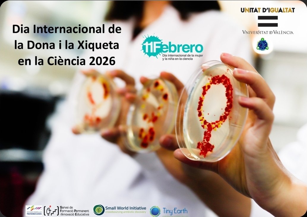 Micromón València. Tiny Earth, SWI, Micromundo tweet media