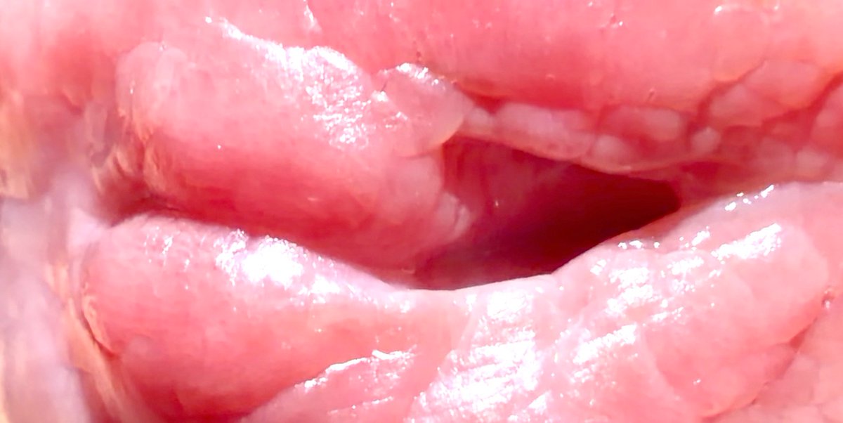 CBSLEEGY tweet media