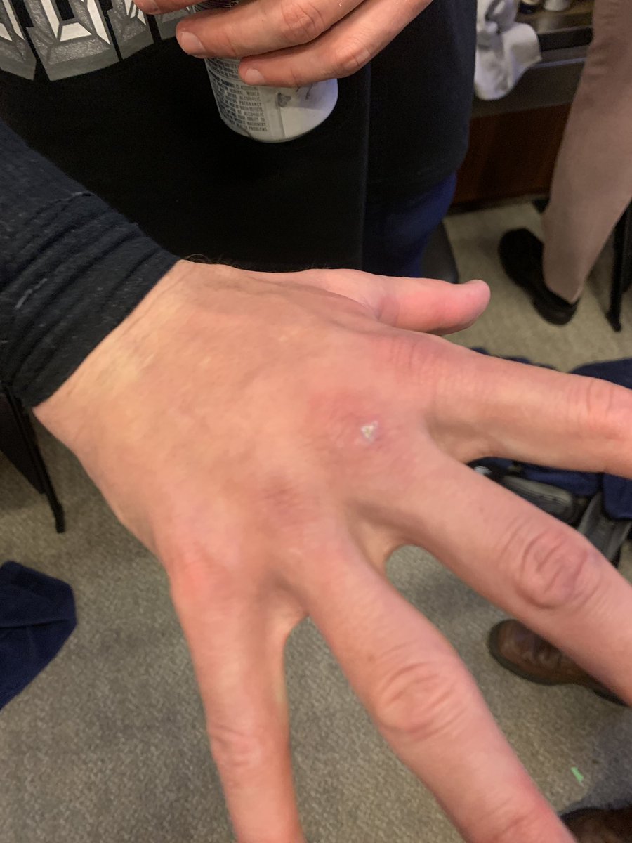 Brady Henderson tweet media