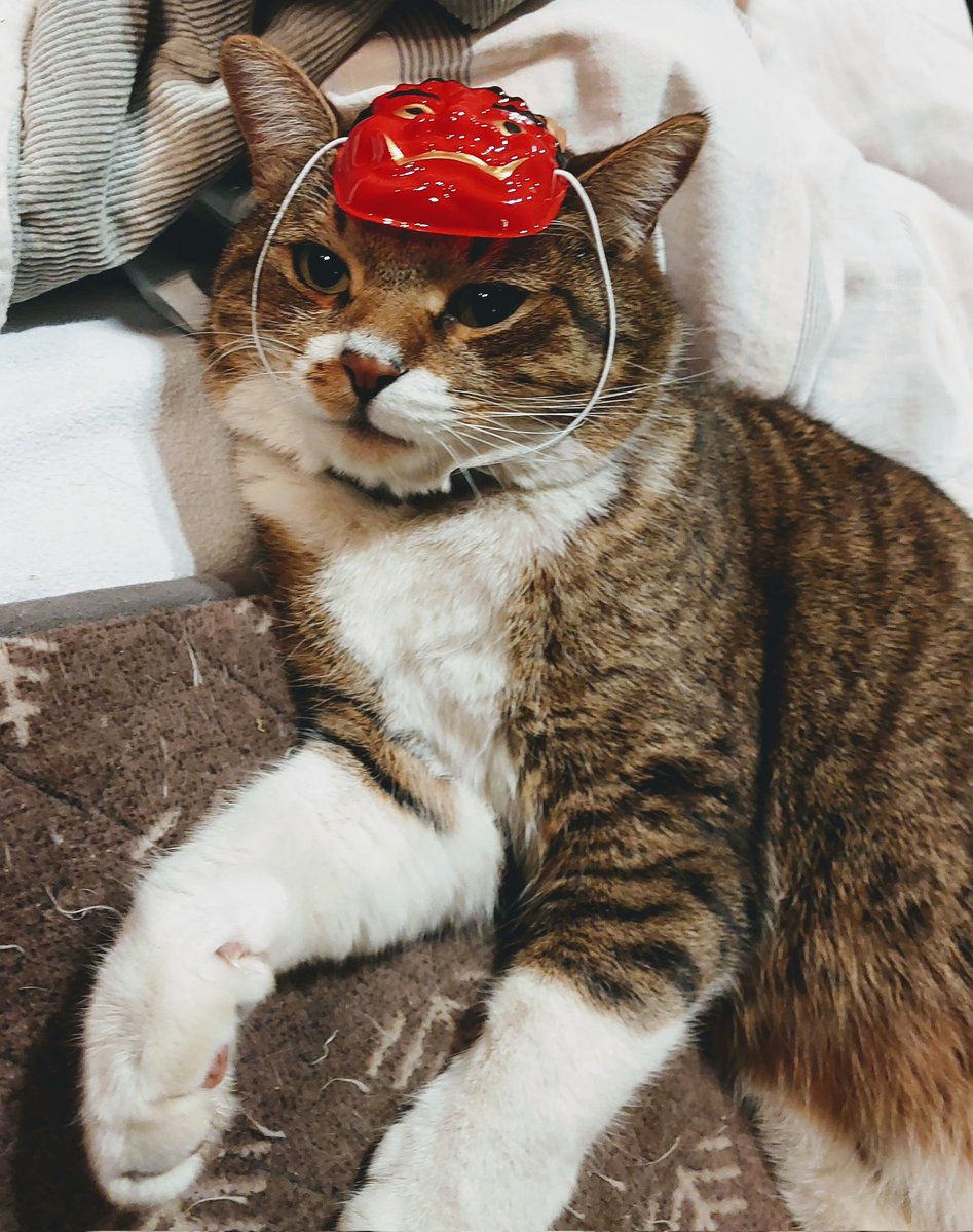 一週間遅れましたが、皆様、鬼は外～福は内～ニャン 鬼の仮面かぶっ