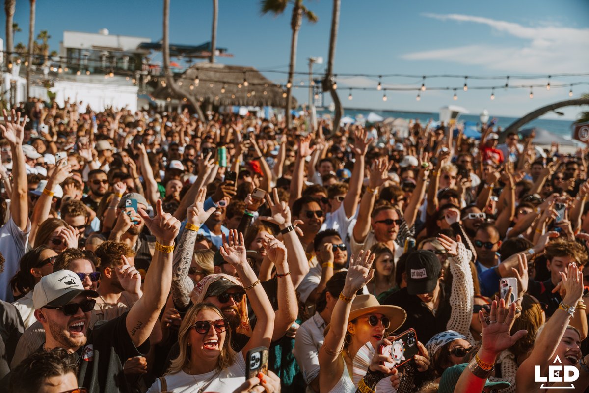 LED Presents tweet media