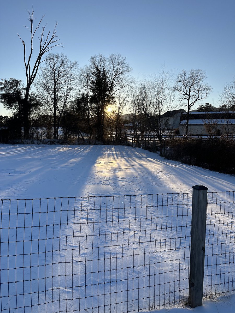 TheParticularD's tweet photo. #Virginia #snow https://t.co/rlSt4eIKLV
