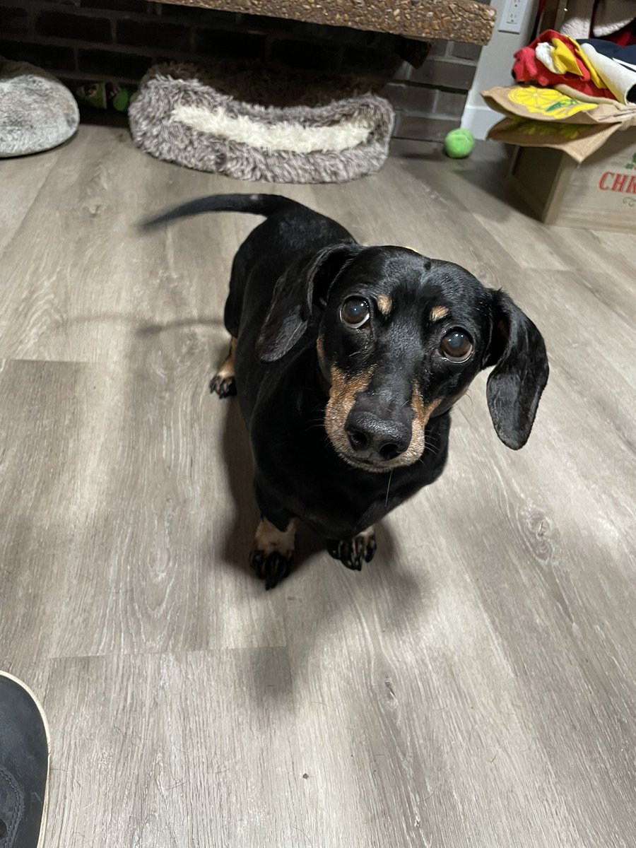 Karls (legally baby) tweet media