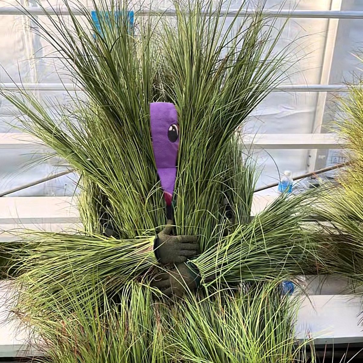 Munfrost tweet media