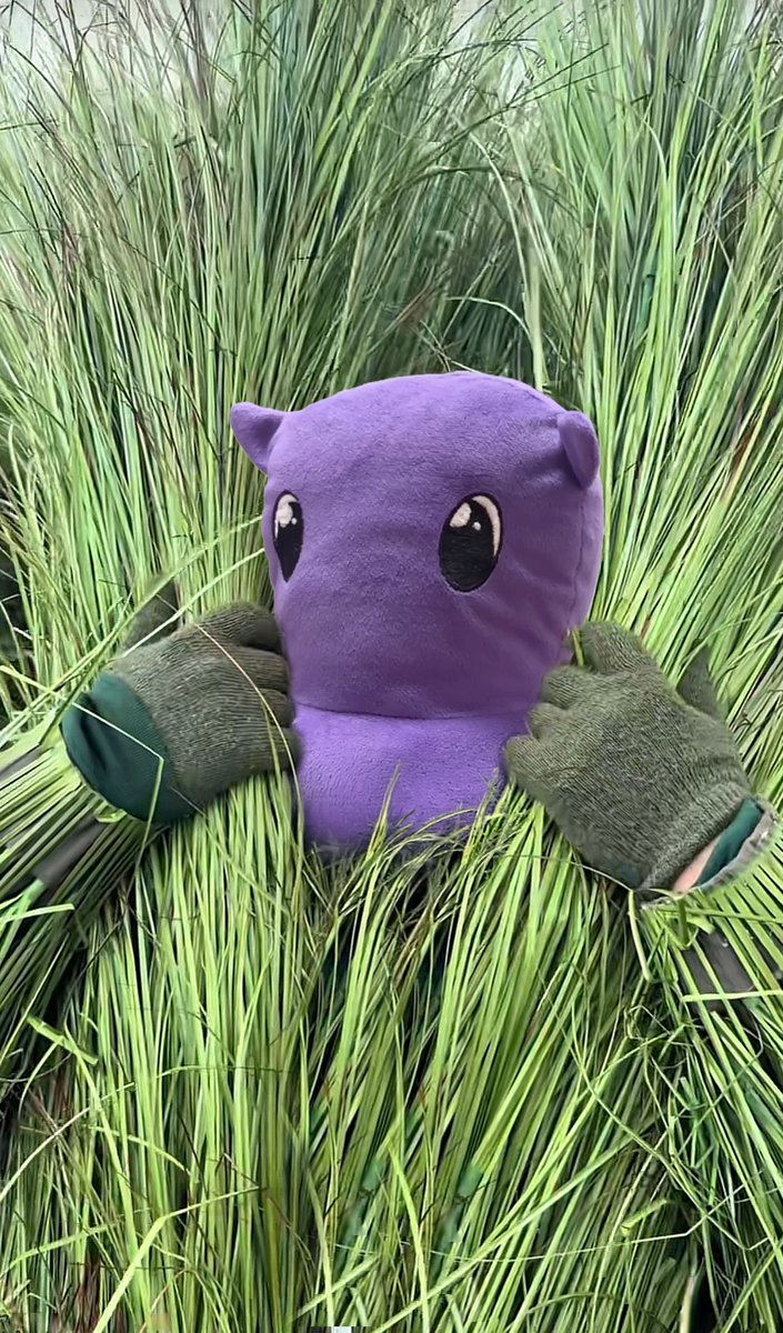 Munfrost tweet media