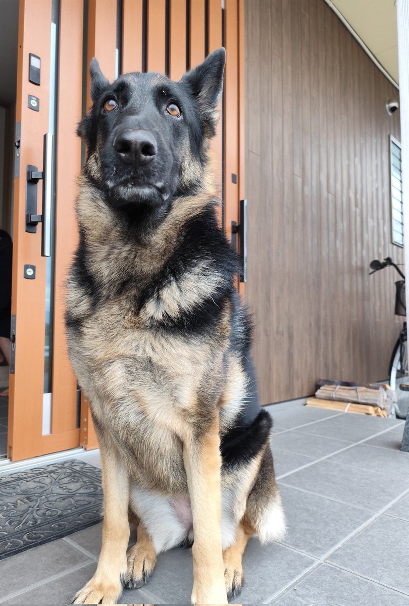 行ってらっしゃい！キリリッ