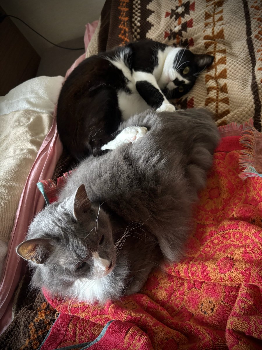 あら、なかよし？
いや、
こだまちゃん、その足は…