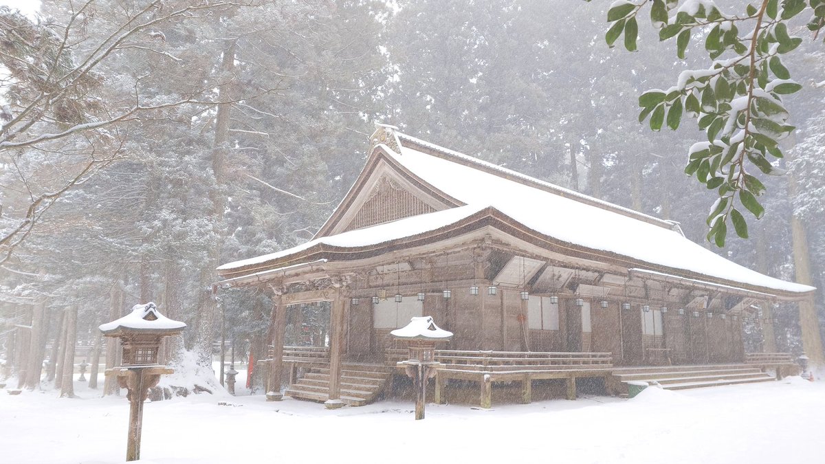 いっぱい雪が降ってた日の高野山です。

写真だと分かりにくいけど、吹雪の時です。
#高野山 #壇上伽藍