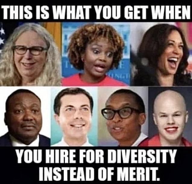 Declaration of Memes tweet media