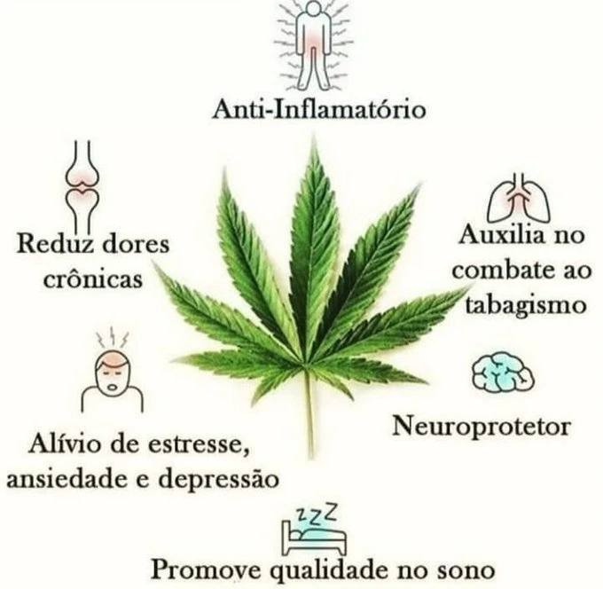 SPACECANNABIS's tweet photo. só vantagem https://t.co/FegWWqgYxL