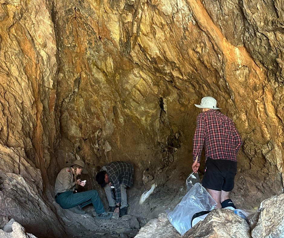 Australian Wildlife Conservancy tweet media