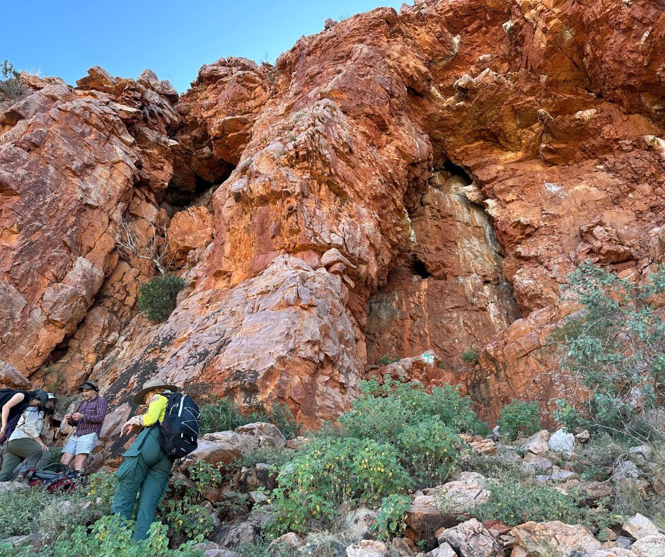 Australian Wildlife Conservancy tweet media