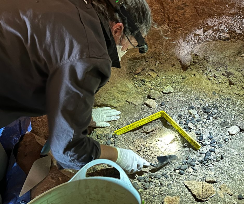 Australian Wildlife Conservancy tweet media