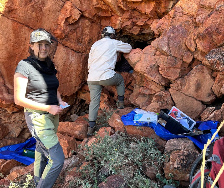 Australian Wildlife Conservancy tweet media