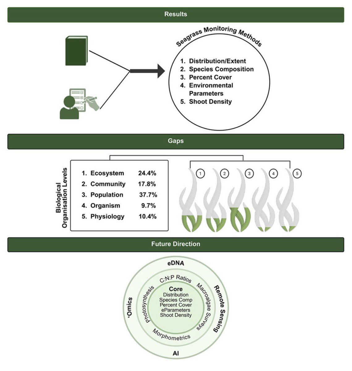 DiseaseMatters's tweet photo. Do you monitor seagrass meadows in your research or as part of your conservation practices? 

Need a decision framework, integrating core methods, lower-level metrics and technology? 

Well, we may just have the answer you are looking for

https://t.co/quWbyLijSg @Coralful_Kara https://t.co/41T0Z92FkI