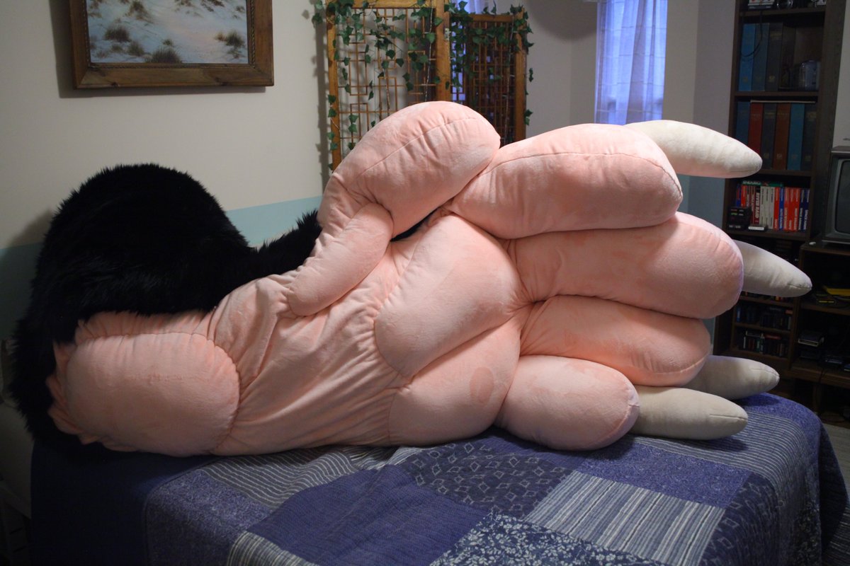 Fuster Poss tweet media