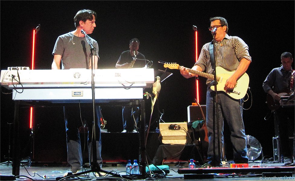 Daily TMBG (@daily_tmbg) on Twitter photo 