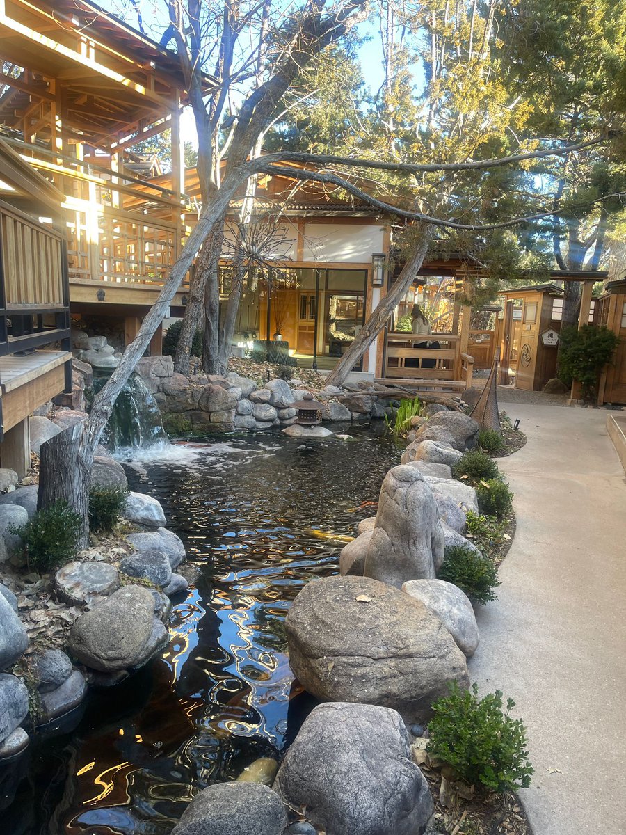 Sauna Channel tweet media