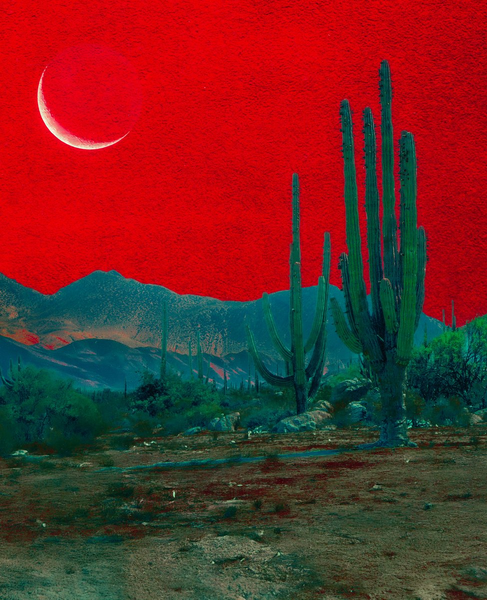 post wook ✨🌻 tweet media