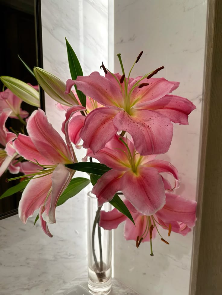 chaarpaai's tweet image. 