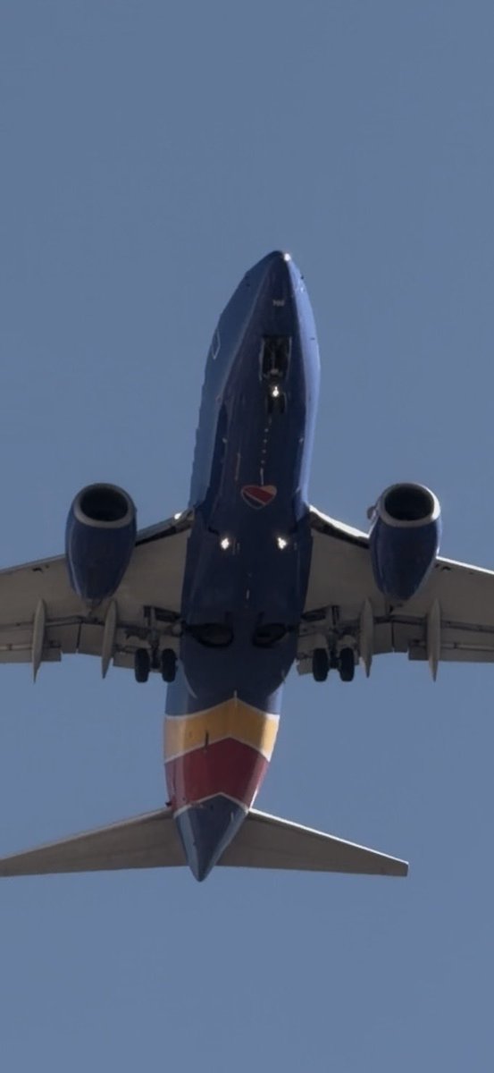 DAL Plane Spotting tweet media