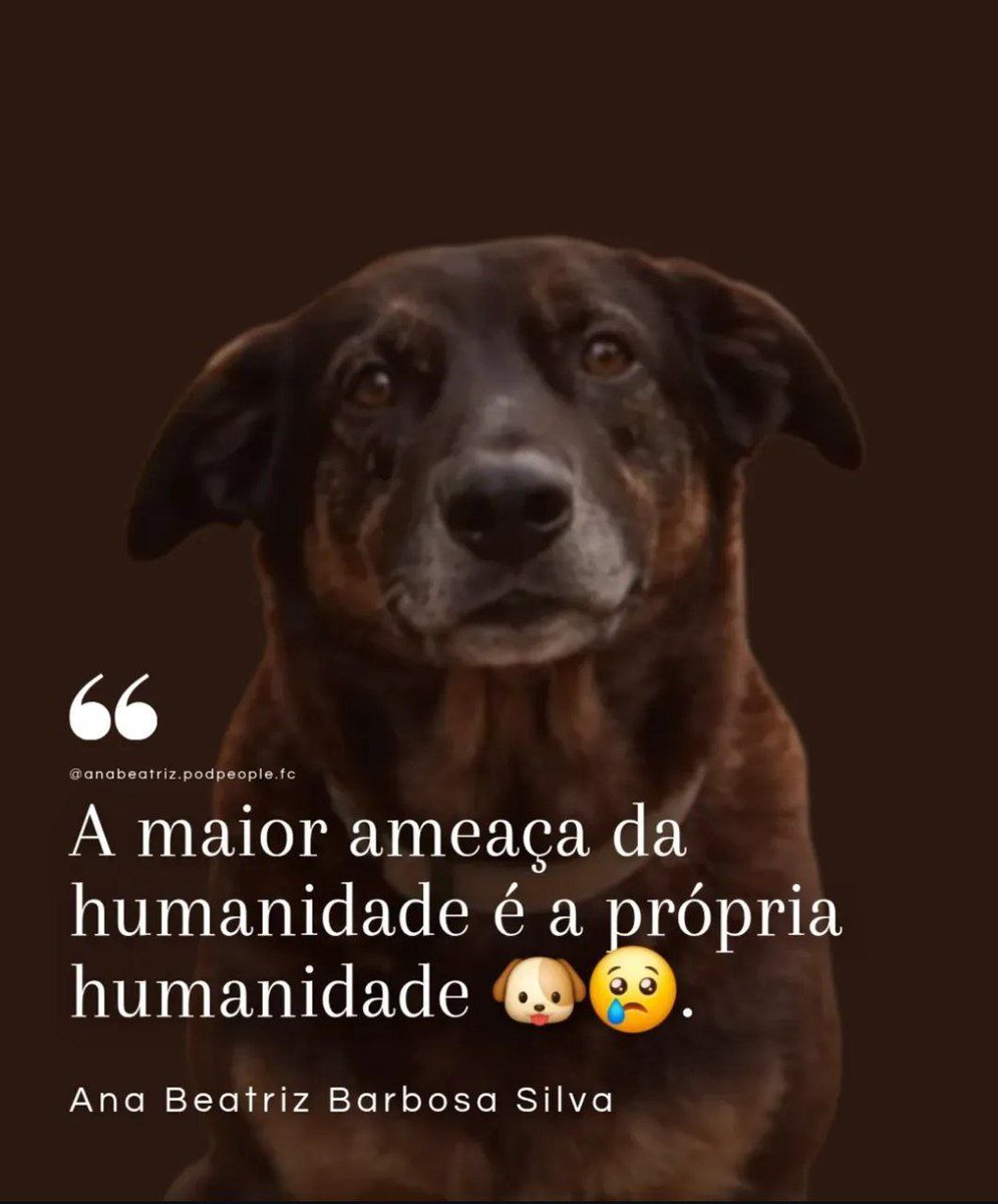 nzmendes1's tweet image. #JustiçaPorOrelha