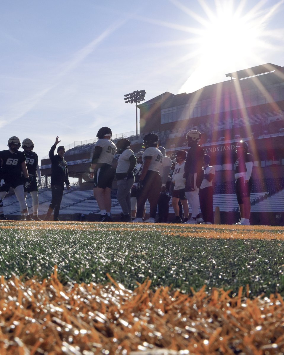 William & Mary Tribe Football tweet media