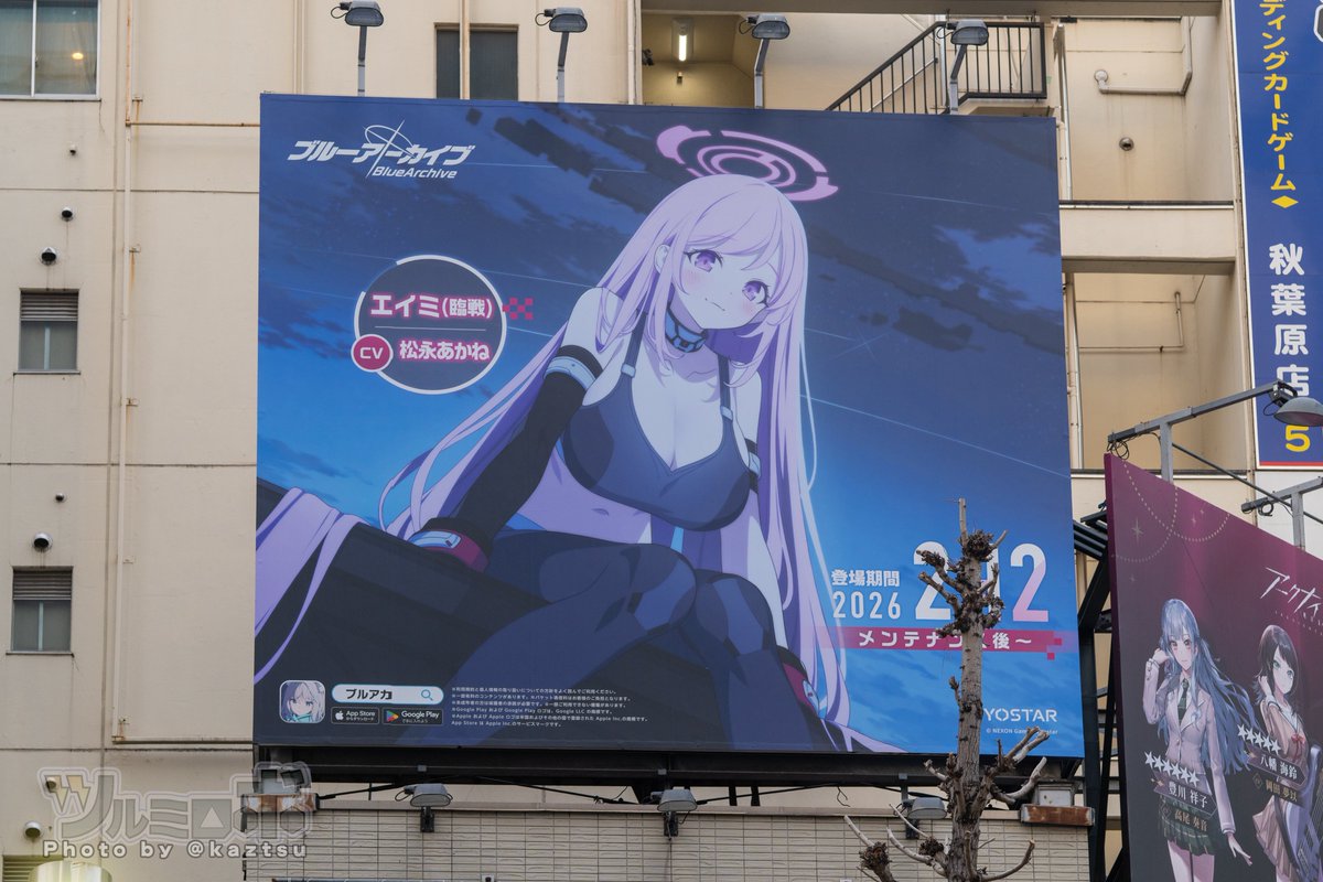 kaztsu's tweet image. 秋葉原・中央通り #ブルアカ #ブルーアーカイブ #アークナイツ #AveMujica