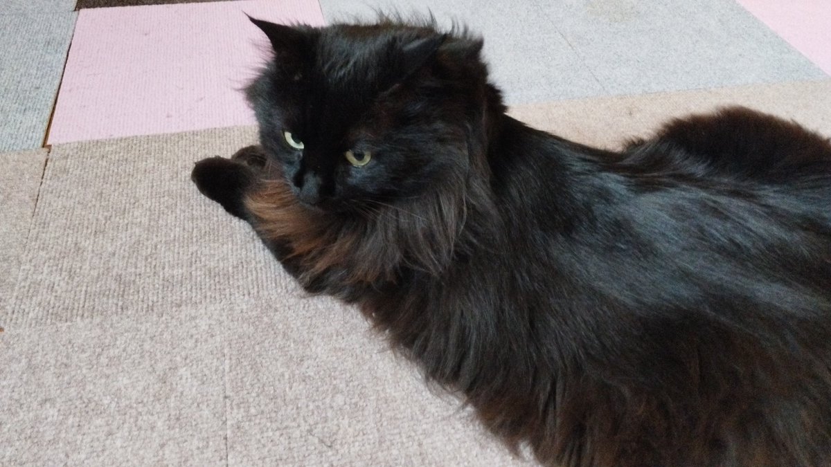 びょういんだい
たのむとうさん