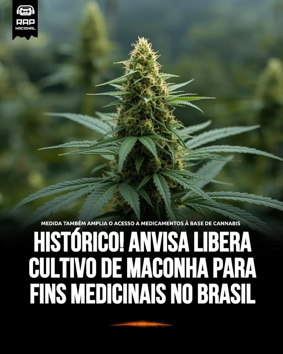 SpaceCannabis 🍃 (@spacecannabis) on Twitter photo 