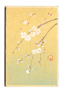 ２月１０日の誕生花

【玉垣枝垂梅（たまがきしだれうめ）】
花言葉：清楚な豊かさ：

風も無いのに梅は香るのです。まして風があったらこの枝垂れ梅などは真っ先に見つけられてしまうでしょう。眼にも鮮やかな薄クレナイ の花弁。天から舞い降りてくる妖精達のようです。