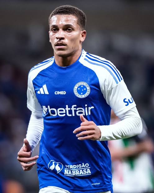 Antônio70🇫🇷🦁 tweet media