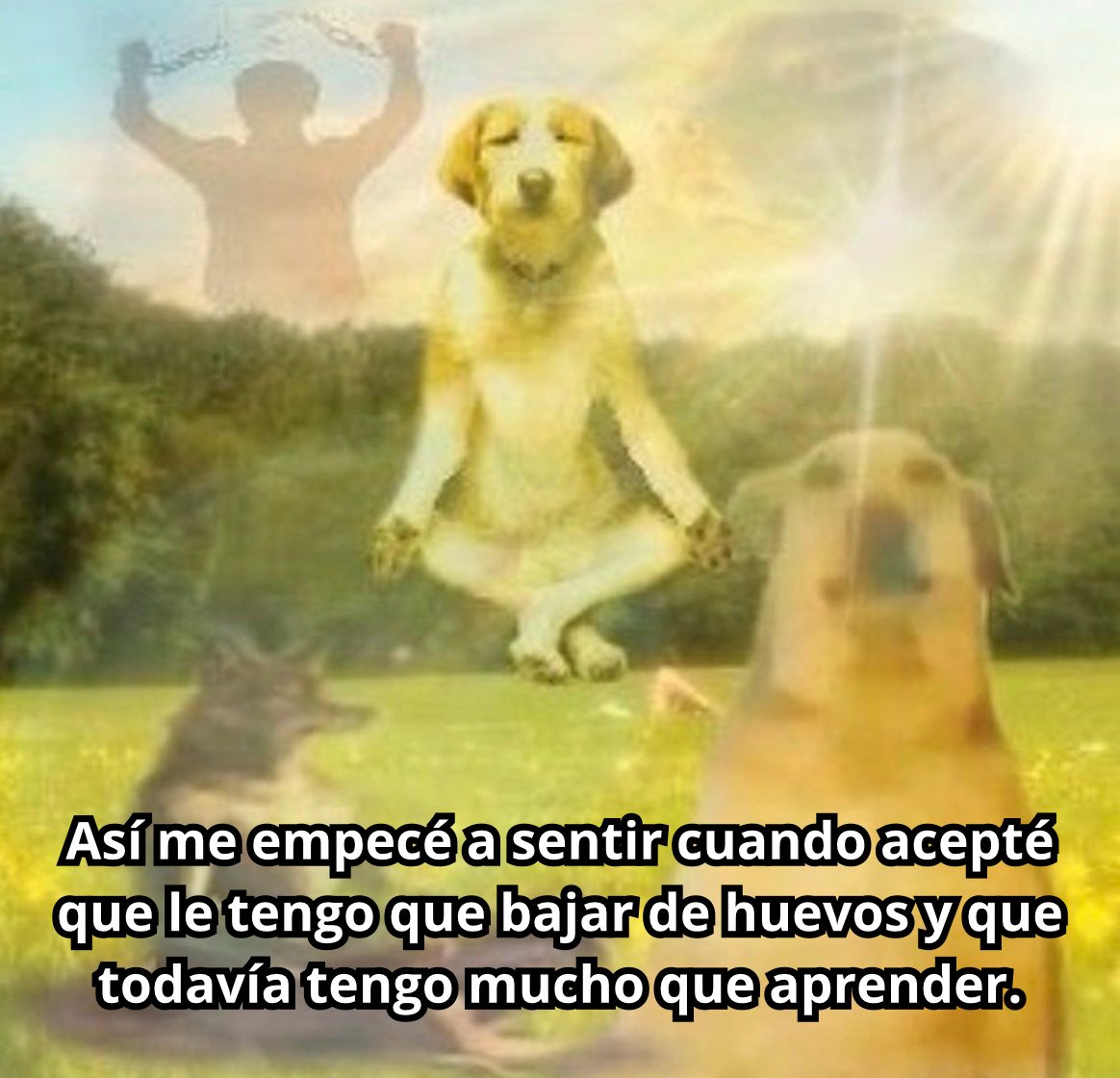 emociones amarillas (@conoloracigarro) on Twitter photo 